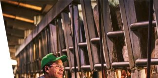 Elanco eleva expectativa de resultados para o ano