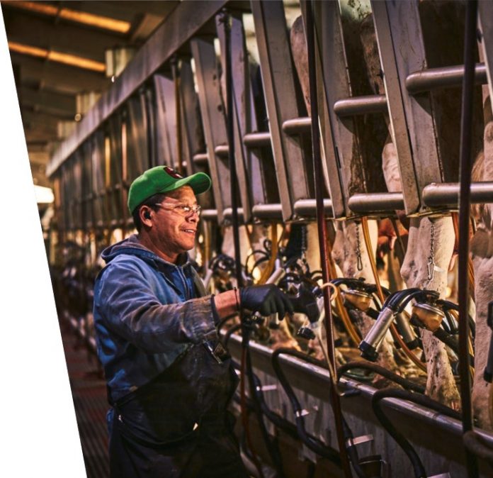 Elanco eleva expectativa de resultados para o ano Elanco eleva expectativa de resultados para o ano