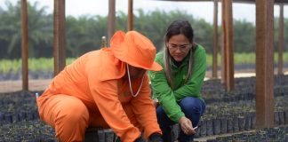 Grupo BBF tem 239 vagas de emprego em SP, PA e RR