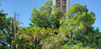 Primavera Cultural Vida Liberta reúne arte e gastronomia no Museu da República Primavera Cultural Vida Liberta reúne arte e gastronomia no Museu da República