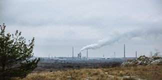 Dia da Sobrecarga da Terra destaca preservação do planeta Dia da Sobrecarga da Terra destaca preservação do planeta