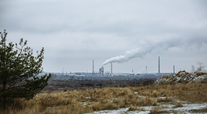 Dia da Sobrecarga da Terra destaca preservação do planeta