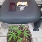 Botucatu: PM registra prisão de mulher por tráfico de drogas