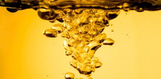 Dia Internacional do Biodiesel destaca uso no Brasil Dia Internacional do Biodiesel destaca uso no Brasil