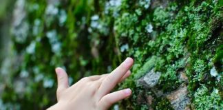 Crianças devem ser incluídas em decisões sobre a proteção da região amazônica Crianças devem ser incluídas em decisões sobre a proteção da região amazônica