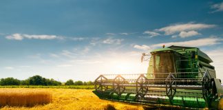 Soluções financeiras impulsionam o agronegócio brasileiro