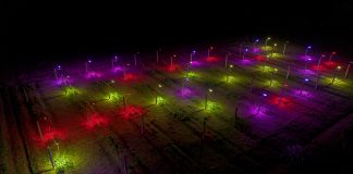 Pesquisa desenvolve luminária LED para cultivo de flores