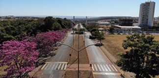 Minas Gerais é o segundo estado em número de corridas de rua no Brasil