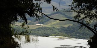 Unidades de conservação atraem investidores para MG