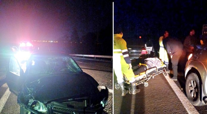 Botucatu: Músicos da Banda Tiamate sofrem acidente na Rondon. Carro bateu contra dois bois soltos na pista