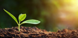 Jurid intensifica práticas sustentáveis na fábrica de Sorocaba