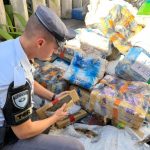 Botucatu: Polícia Rodoviária realiza maior apreensão de drogas do ano na região