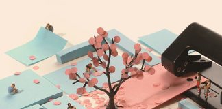 São Paulo celebra união de culturas em pontos de observação das cerejeiras São Paulo celebra união de culturas em pontos de observação das cerejeiras