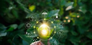 PR 2060 traz metodologia para compensar emissão de carbono PR 2060 traz metodologia para compensar emissão de carbono