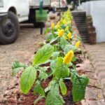 Botucatu: Praça do Bosque ganha paisagismo do Shopping Amando