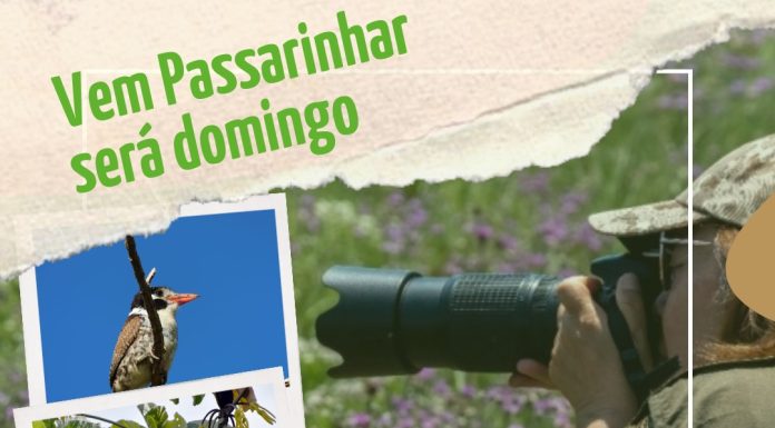 Botucatu promove observação de aves em reserva natural dia 27