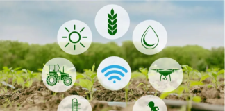 Expansão da IoT no Brasil inclui atividades agrárias