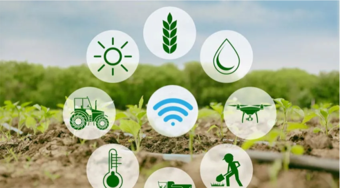 Expansão da IoT no Brasil inclui atividades agrárias