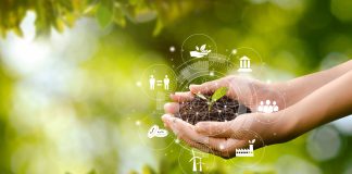 Governo lança green bonds para estimular manufatura verde Governo lança green bonds para estimular manufatura verde