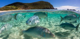 Organizações se mobilizam ante a crise hídrica mundial Organizações se mobilizam ante a crise hídrica mundial