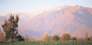 Prowine São Paulo espera receber mais de dez mil visitantes