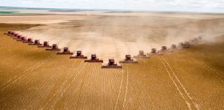Gigantes do agro têm recuperações judiciais deferidas em MT