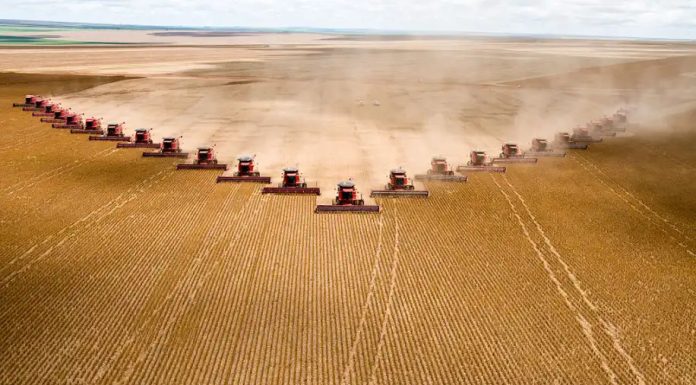 Gigantes do agro têm recuperações judiciais deferidas em MT Gigantes do agro têm recuperações judiciais deferidas em MT