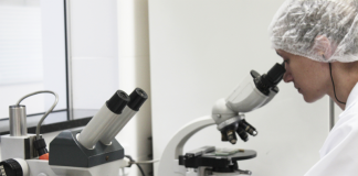 Fugini lança portal com detalhes do seu processo produtivo Fugini lança portal com detalhes do seu processo produtivo