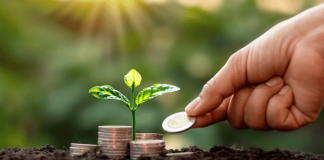 Marketing verde pode promover benefícios em empresas