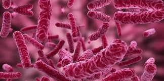 Dia Mundial da Sepse reforça a importância da conscientização sobre a doença Dia Mundial da Sepse reforça a importância da conscientização sobre a doença