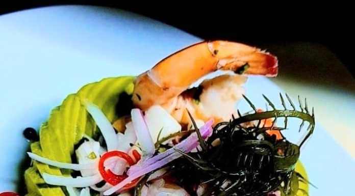 São Paulo sediará a 11ª edição da Expo Ceviche 2023