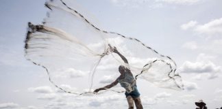 Grupo Mazzaferro cria ações voltadas para a sustentabilidade Grupo Mazzaferro cria ações voltadas para a sustentabilidade