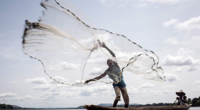 Grupo Mazzaferro cria ações voltadas para a sustentabilidade Grupo Mazzaferro cria ações voltadas para a sustentabilidade