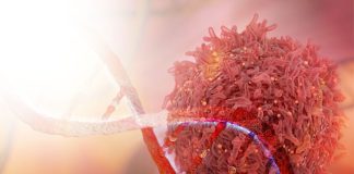 Hill's Global Symposium 2023 traz as atualizações na medicina veterinária