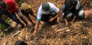 Hypera Pharma promove Mutirão da Saúde em Taboão da Serra Hypera Pharma promove Mutirão da Saúde em Taboão da Serra