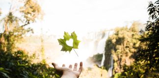 Foz do Iguaçu é destino mais sustentável do Brasil Foz do Iguaçu é destino mais sustentável do Brasil