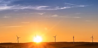  Lázaro Ramos estreia como embaixador da Esfera Energia