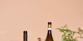 E-commerce de vinhos cria campanha focada nos vinhos italianos