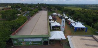 Paraná sediará terceira edição da Feira Internacional da Mandioca (Fiman)