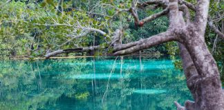 Com o ecoturismo em alta, interior do Mato Grosso desponta como opção de lazer