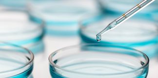 STJ manda plano de saúde pagar congelamento de óvulos STJ manda plano de saúde pagar congelamento de óvulos