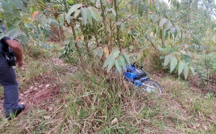 db1f519a-1b3d-4117-b0d5-5be8172ffd79-768x478-1