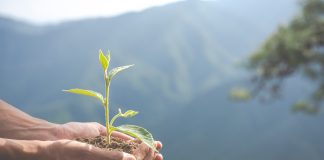 Mercado e consumidores levam empresas a adotar ações de ESG