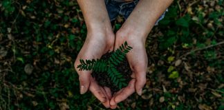 RX reduz 40% do lixo em seus eventos no Brasil