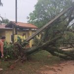 Botucatu: Rio Bonito e Mina registram queda de árvores e casas destelhadas durante chuva deste domingo