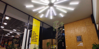 Coworking de Curitiba cresce e líder global declara falência