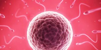 Dr. Paulo Gallo lança livro sobre psicologia e infertilidade