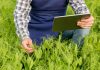 Pesquisa aponta aumento da digitalização do agronegócio