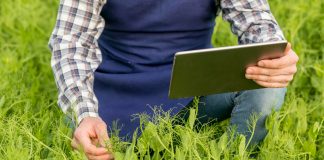 Pesquisa aponta aumento da digitalização do agronegócio