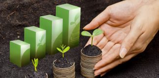 ESG é viável para organizações de todos os tamanhos